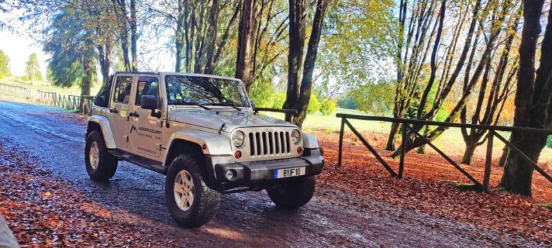 West Tour - Porto Moniz VIP 4X4 Wrangler Tour 8h Trip - Participant Restrictions