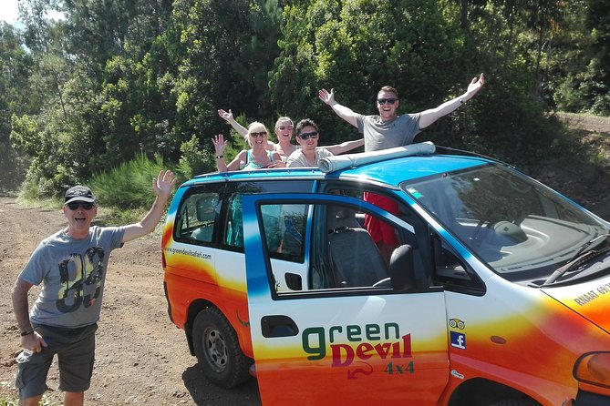 West Volcanic Pools & Unesco 4x4 Tour - Natural Lava Pools