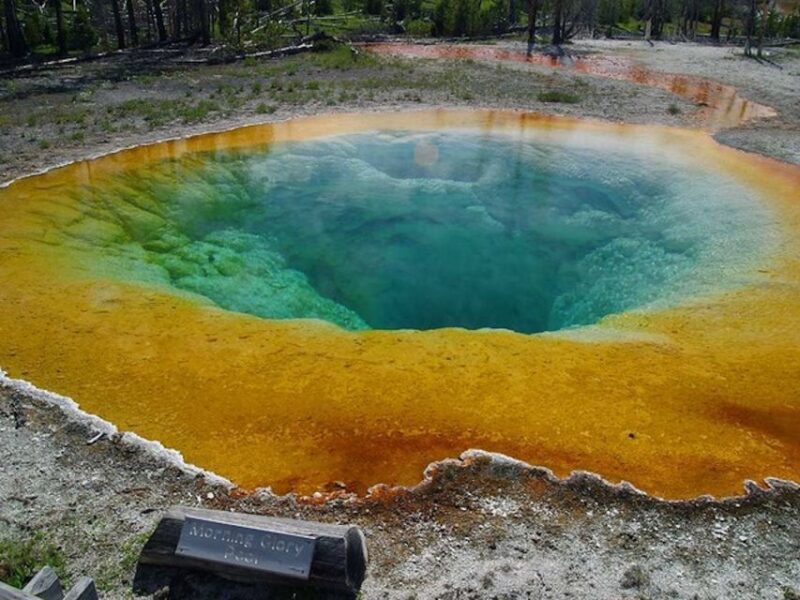 West Yellowstone: Yellowstone Day Tour Including Entry Fee - Itinerary Highlights
