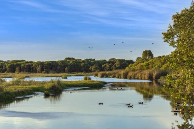 Western Australia'S Paradise: a Private Day Tour From Perth - Tour Pricing and Availability
