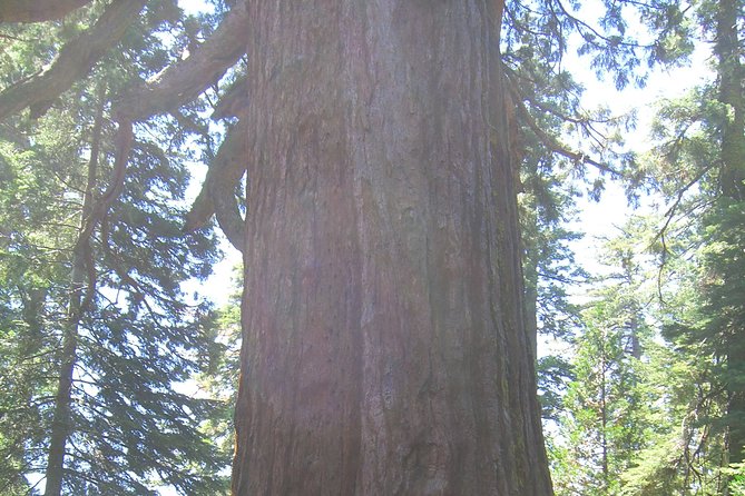 Western National Parks 7 Day Explorer Lodging - Meeting and Pickup