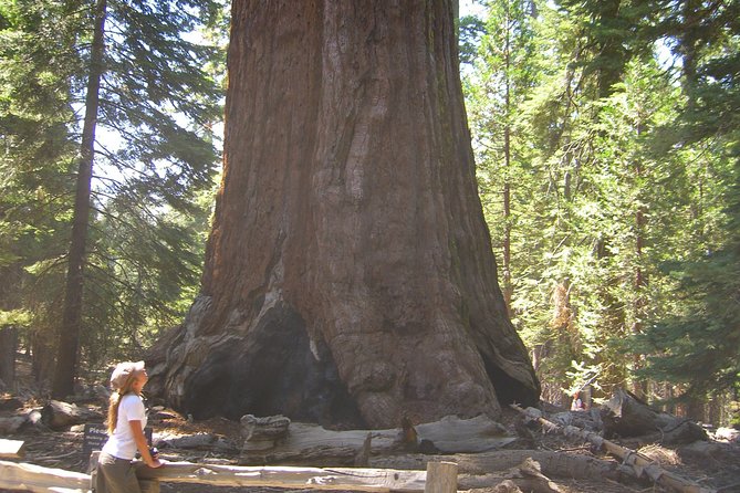 Western National Parks Tour From Las Vegas to San Francisco - Meal Preferences