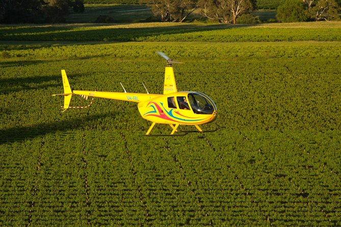 Western Ridge & Valley Floor: 20-Minute Helicopter Flight - Meeting Point and Activity End