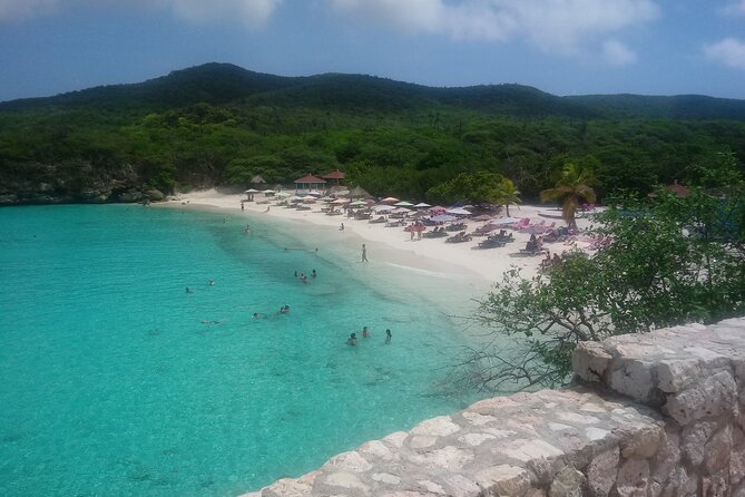 Western Snorkel & Swim Trip - Pickup and Meeting Details