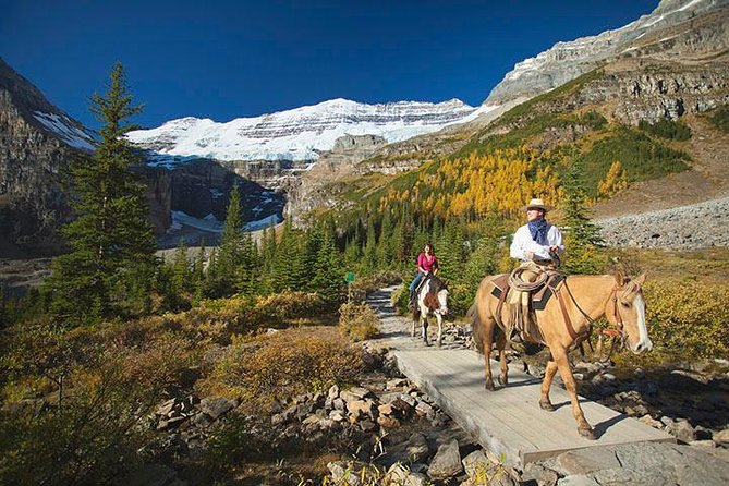 Western Trails - One Way Vancouver To Calgary Rockies Bus Tour - Optional Activities