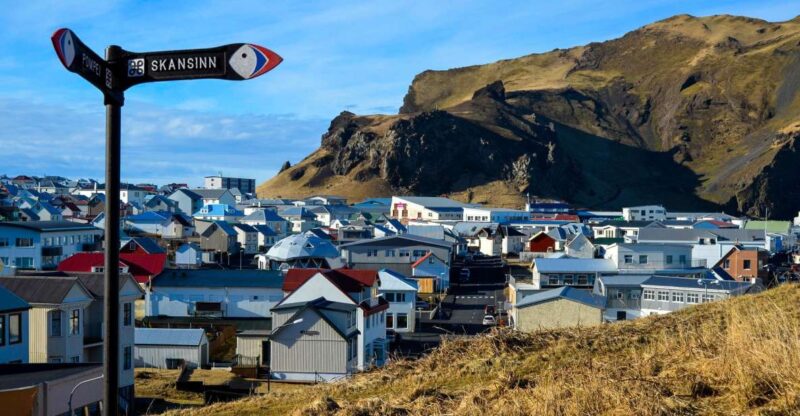 Westman Islands Day Tour From Reykjavik - Tour Highlights