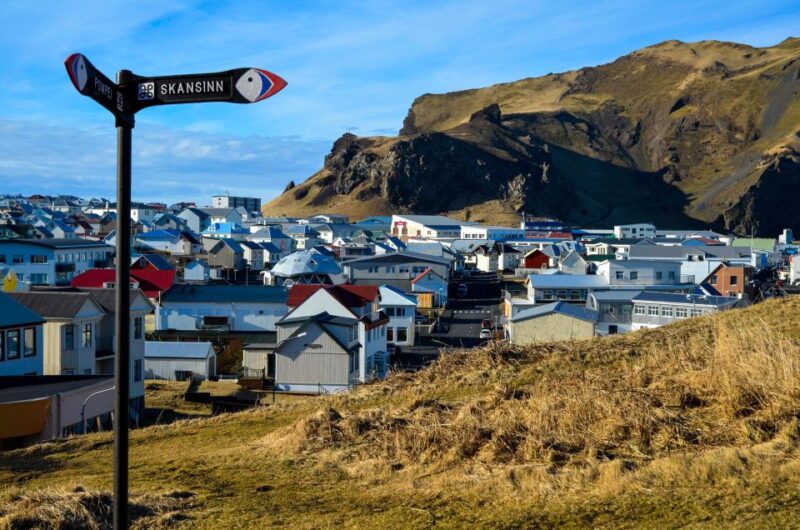 Westman Islands Day Tour From Reykjavik - Important Information