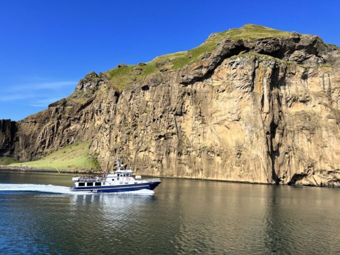 Westman Islands Private Tour - Wildlife and Geology