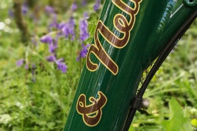 Westport Shuttle Bus to Achill Island With Electric Bikes 10 Am - Additional Information