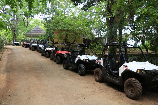 Wet N Dirty ATV Outback Adventure From Runaway Bay - Customer Feedback