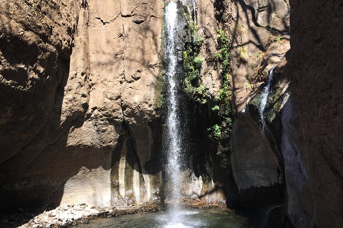 Wet & Wild: Tamanique Waterfalls + Craft Beer Sampling & Lunch - Exploring Tamanique Waterfalls
