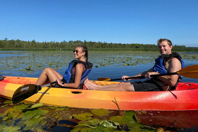 Wetlands Kayak Tour - Key Points