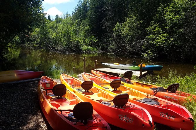 Wetlands Kayak Tour - Tour Experience and Duration
