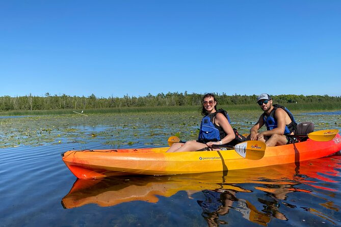 Wetlands Kayak Tour - Group Size and Accessibility