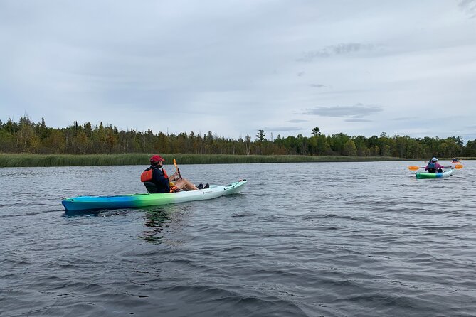 Wetlands Kayak Tour - Additional Important Information