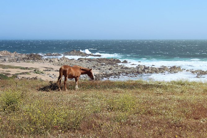 Wetravelneruda'S Route - Pablo Neruda'S Route - Private Tour - Key Points