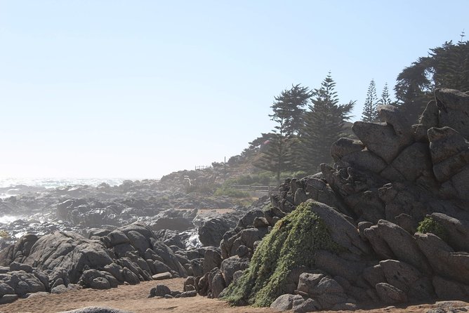 Wetravelneruda'S Route - Pablo Neruda'S Route - Private Tour - Isla Negra Museum House