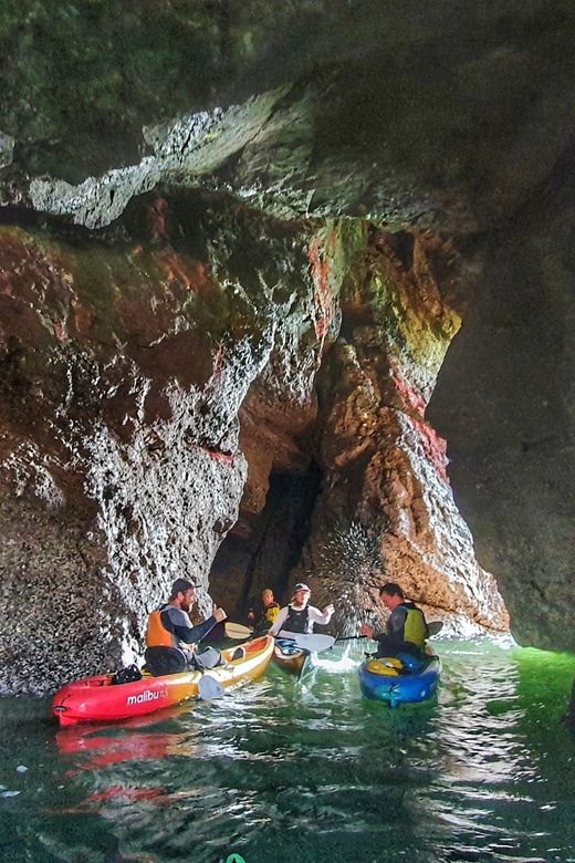 Wexford: Hell Hole & Back Sea Cave Kayaking - Key Points