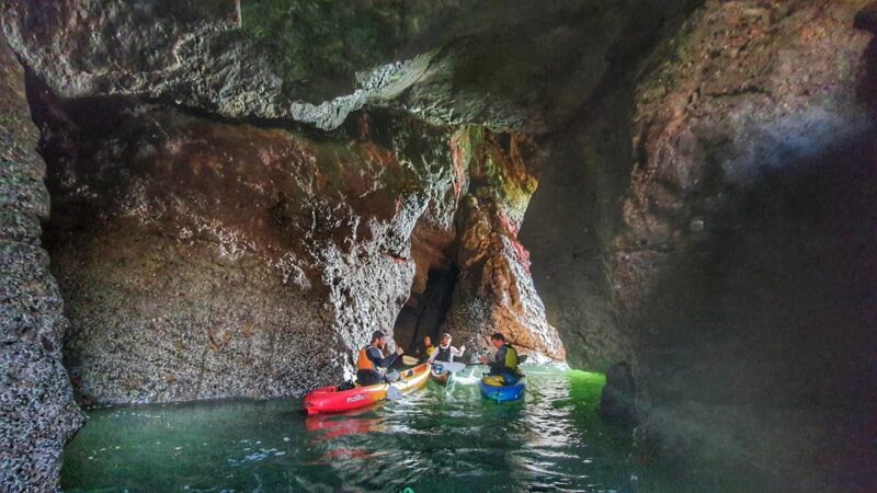 Wexford: Hell Hole & Back Sea Cave Kayaking - Highlights of the Experience