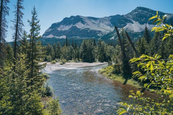 WF: Private East Glacier & Two Medicine Scenic Driving Tour - Payment Options