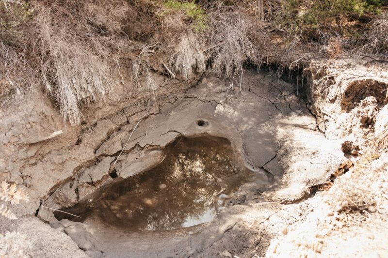 Whakarewarewa: Entrance to the Geothermal Trails - Scenic Walks Through Landscapes