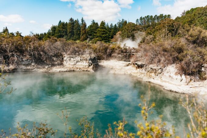 Whakarewarewa: Entrance to the Geothermal Trails - Meeting Point and Essentials
