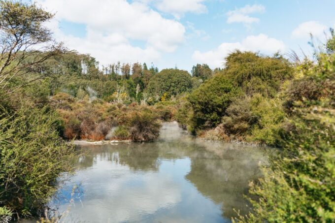 Whakarewarewa: Entrance to the Geothermal Trails - Natural Wonders at Whakarewarewa