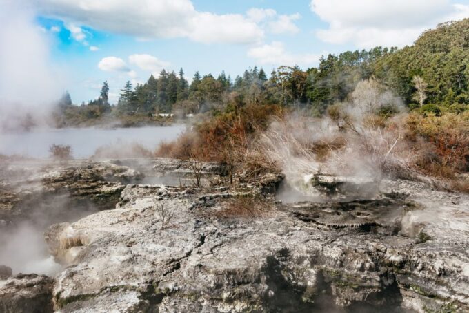 Whakarewarewa: Entrance to the Geothermal Trails - Recap
