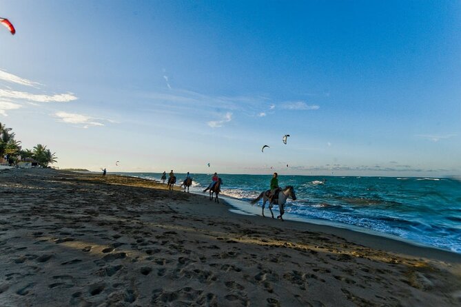 Whala Bavaro - Round Trip Shuttle - Punta Cana Airport - Pickup and Drop-off Information