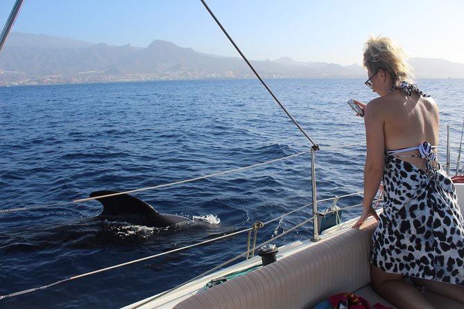 Whale and Dolphin Small Group Sailing From Tenerife South - Spotting Whales and Dolphins
