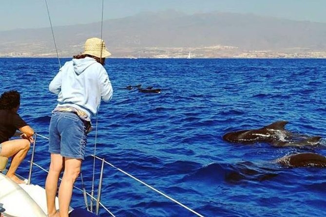 Whale and Dolphin Small Group Sailing From Tenerife South - Onboard Snorkeling Gear