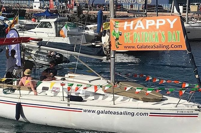 Whale and Dolphin Small Group Sailing From Tenerife South - Meeting Point and Pickup