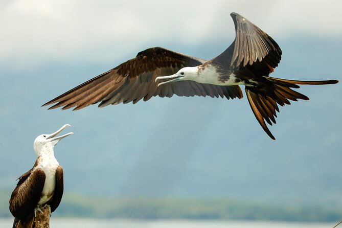 Whale and Dolphin Tour - Key Points