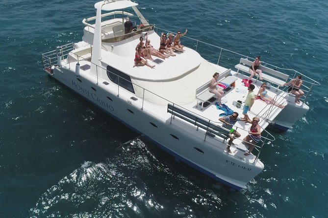 Whale and Dolphin Watching Catamaran With Transfer and Buffet - Just The Basics
