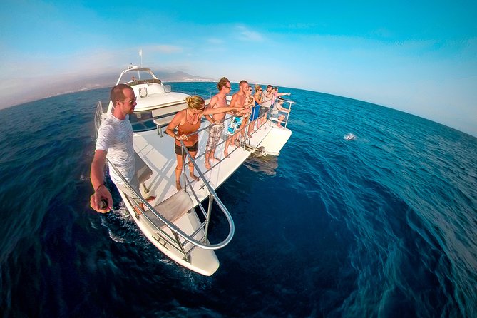 Whale and Dolphin Watching Catamaran With Transfer and Buffet - Meals and Snacks Provided