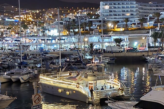 Whale and Dolphin Watching Catamaran With Transfer and Buffet - Accessibility and Infant Policies