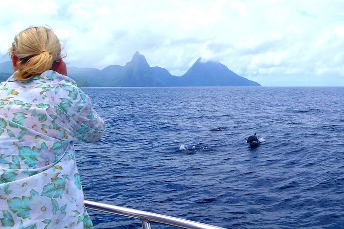 Whale and Dolphin Watching Cruise in St Lucia - Meeting and Pickup