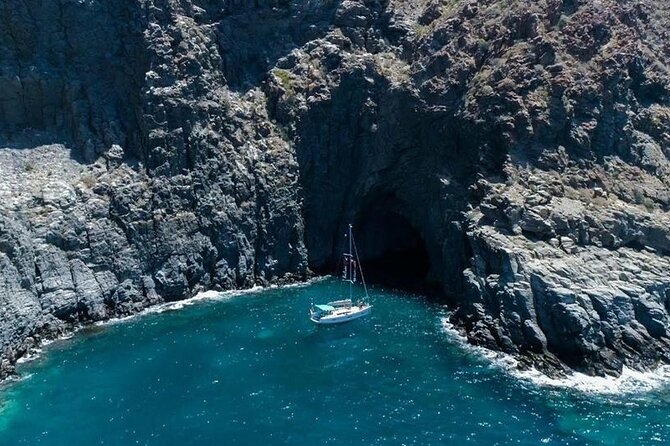 Whale and Dolphin Watching Cruise With Snacks & Open Bar - Activity Rating