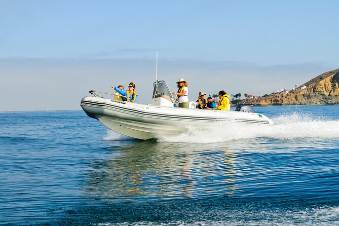 Whale and Dolphin Watching in San Diego - Tour Details and Inclusions