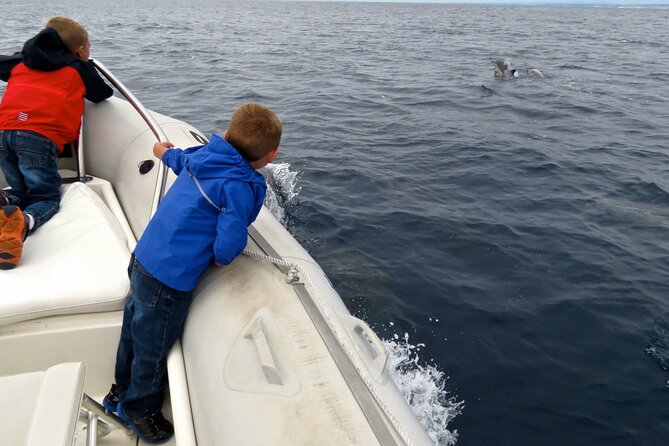 Whale and Dolphin Watching in San Diego - Comfortable and Approved Life Jackets