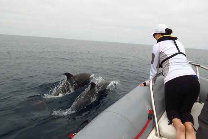 Whale and Dolphin Watching in San Diego - Minimum Passenger Count and Snacks