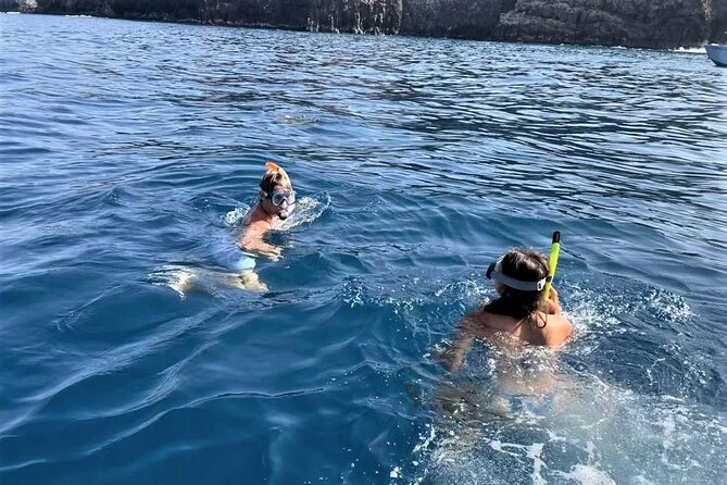 Whale and Dolphin Watching in Tenerife With Snorkeling - Exploring Tenerifes Whale and Dolphin Habitat