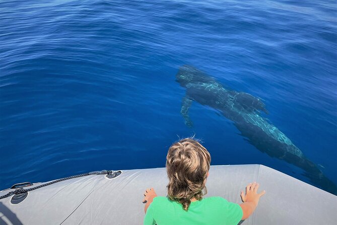Whale and Dolphin Watching in Tenerife With Snorkeling - Group Size and Excursion Duration Highlights