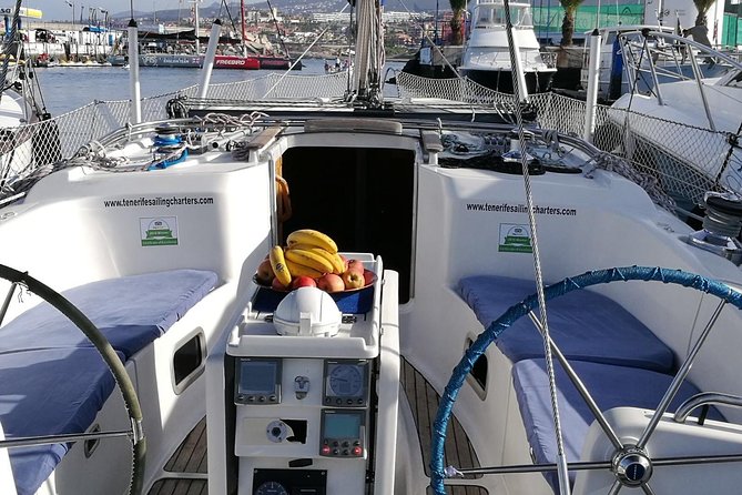 Whale and Dolphin Watching Sailing Boat With Drinks, Snacks and Swimming Time - Group Size and Cancellation
