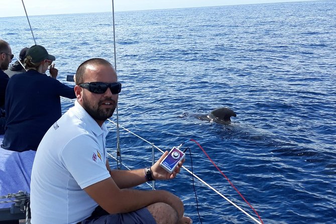 Whale and Dolphin Watching Sailing Boat With Drinks, Snacks and Swimming Time - Customer Reviews and Ratings
