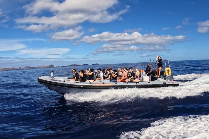 Whale and Dolphin Watching Tour From Funchal - Inclusions and Amenities