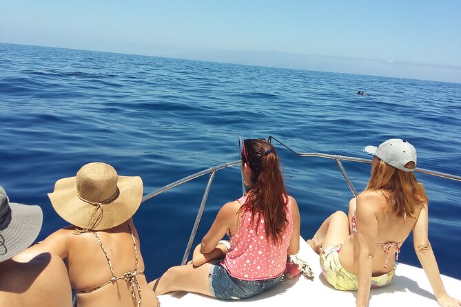 Whale and Dolphin Watching Tour Los Gigantes and Masca in Small Groups - Whale Sanctuary Exploration