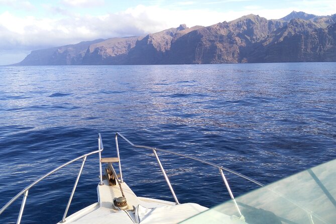 Whale and Dolphin Watching Tour Los Gigantes and Masca in Small Groups - Coastal Exploration Journey