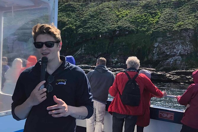 Whale and Puffin Watching Tour - Pickup and Redemption