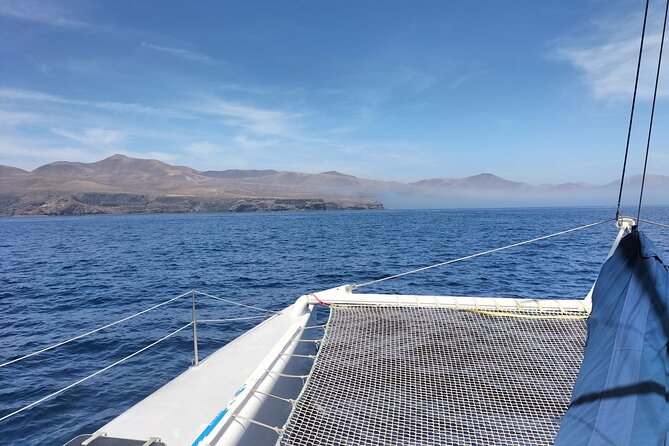Whale & Dolphin Observation on Silent Catamaran With Hydrophone - Meeting and Pickup